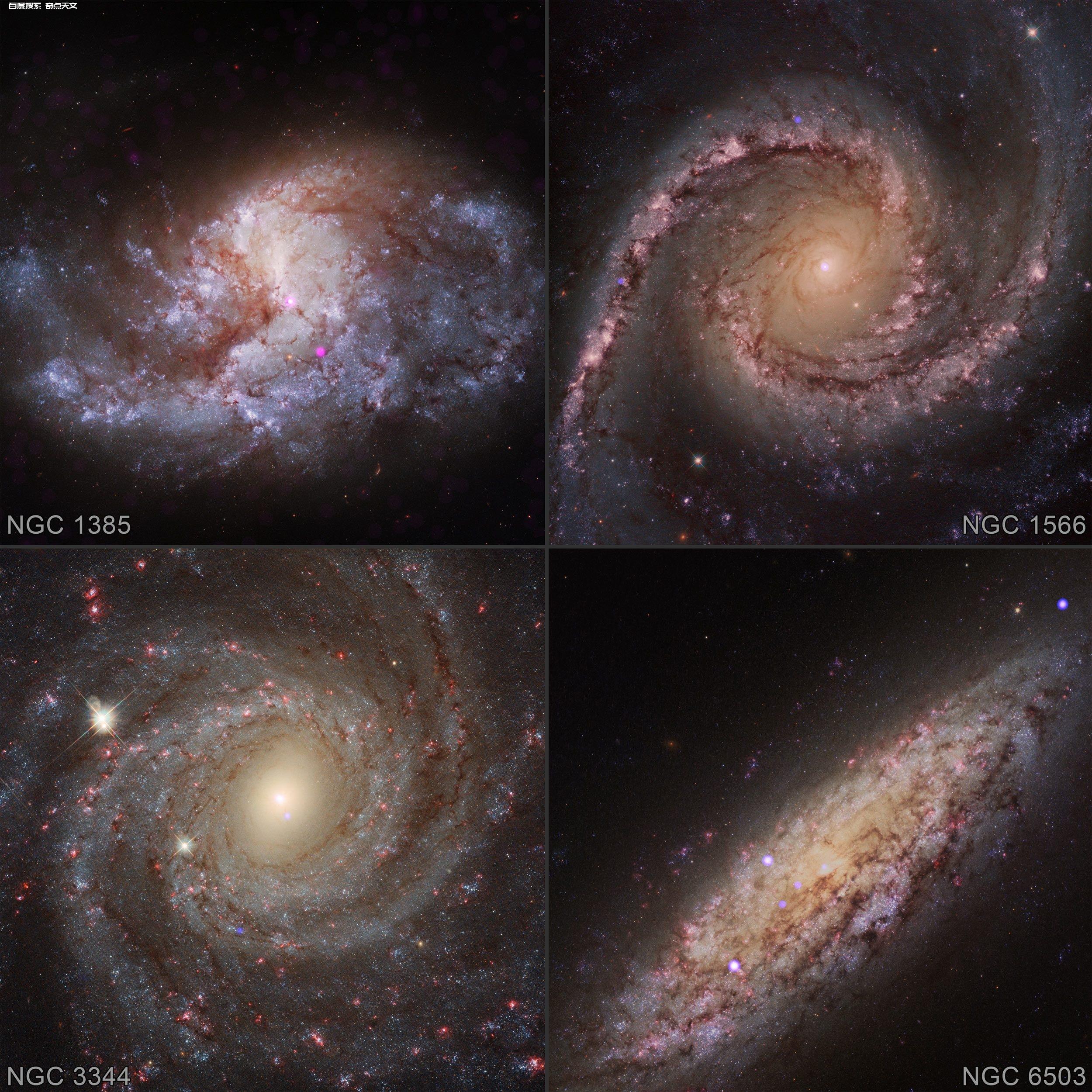 NGC 3878图片